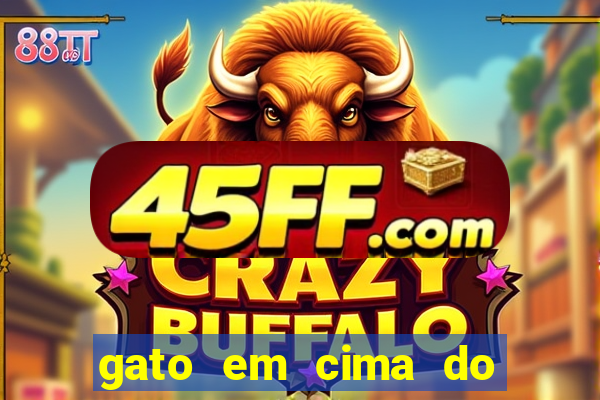 gato em cima do telhado significado espiritual